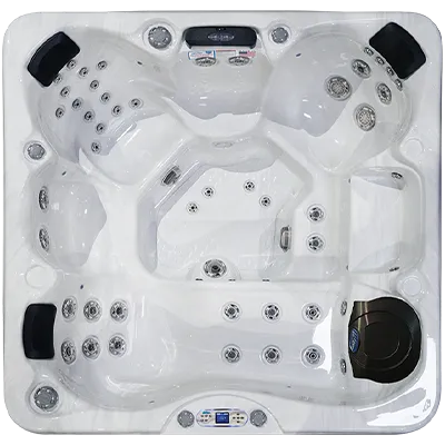 Avalon EC-849L hot tubs for sale in Milford