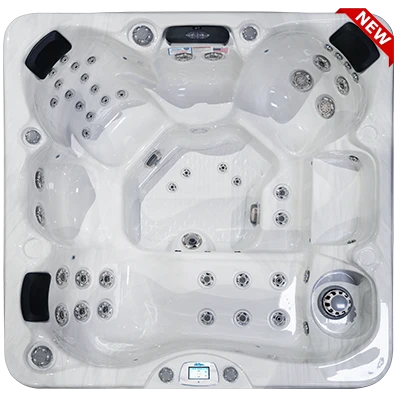 Avalon-X EC-849LX hot tubs for sale in Milford