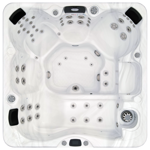 Avalon-X EC-867LX hot tubs for sale in Milford